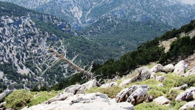 East Crete: Katharo Plateau and Sarakina Gorge SUV Tour - Walk Through Sarakina Gorge