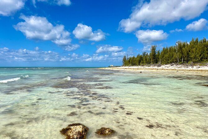 East End Private Day Tour Experience - Final Thoughts