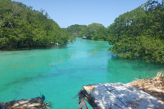 East End Tour (Mangroves, Punta Gorda, Port Royal) With Snorkeling Option - Detailed Tour Itinerary