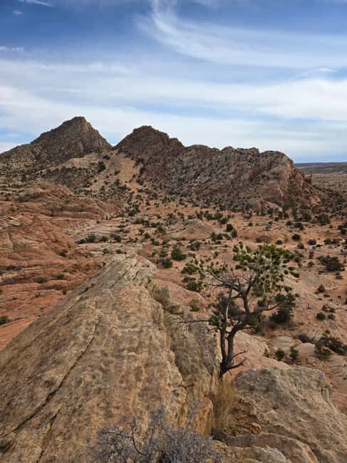 East Grand Canyon: Off-Road Tour With Picnic At The Rim - What is the East Grand Canyon Off-Road Tour?