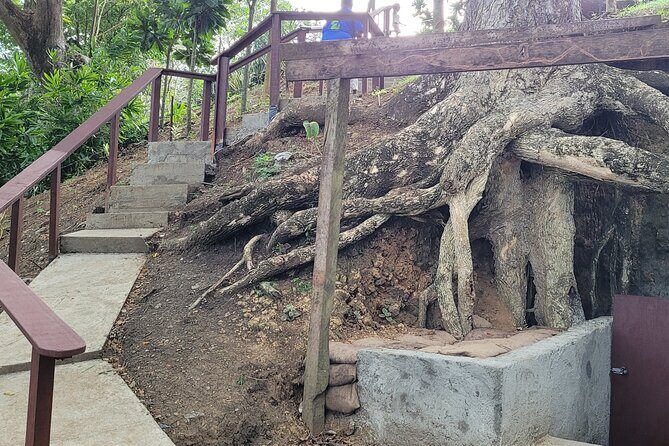 East Honiara Historic World War II Battlefields Tour - Who Will Love This Tour?