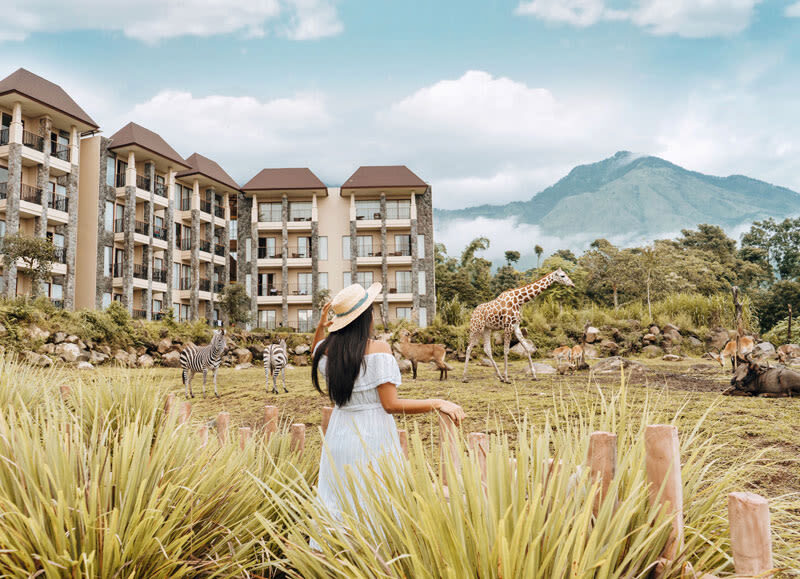 East Java Family Tour (Baobab Safari, Malang & Mount Bromo) - A safari day followed by a volcano