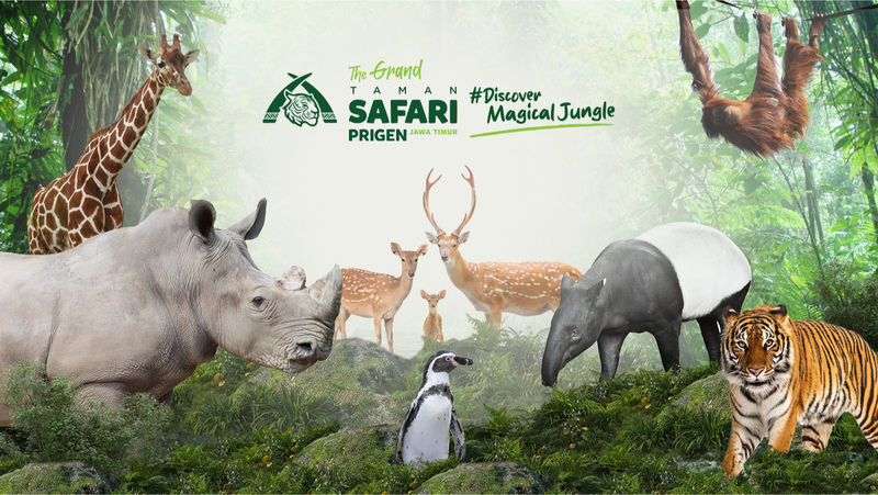 East Java Family Tour (Baobab Safari, Malang & Mount Bromo) - What private transport changes