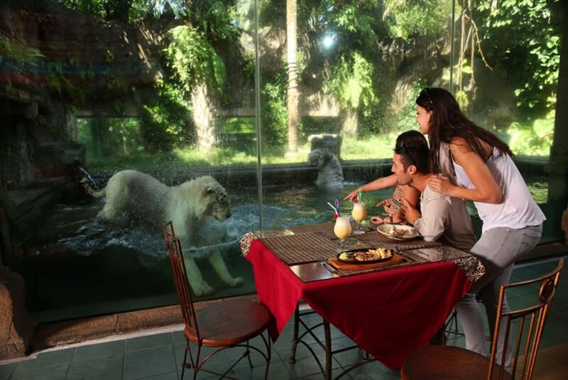 East Java Family Tour (Baobab Safari, Malang & Mount Bromo) - Price, hotels, and what is included