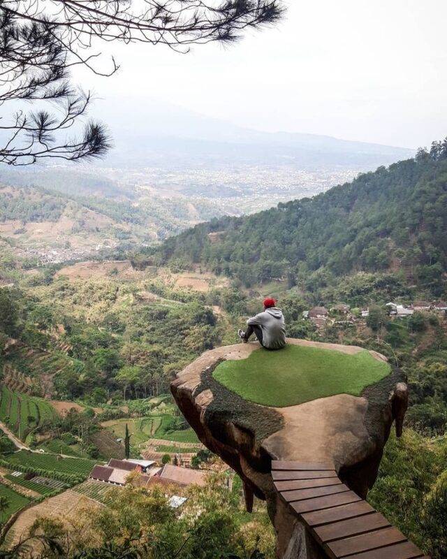 East Java Family Tour (Baobab Safari, Malang & Mount Bromo) - Who should choose this trip?