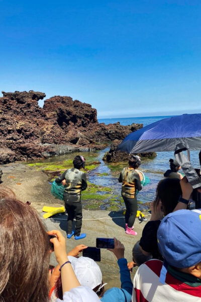 EAST Jeju: All Inclusive Private Tour W/ Tangerine Picking - Questions You May Have