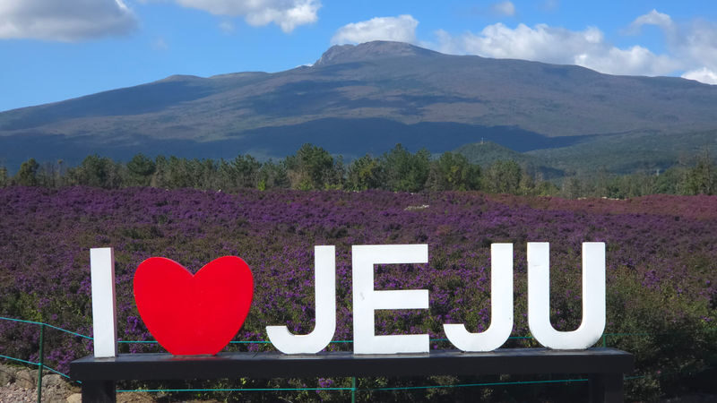 East Jeju Premium Limousine Bus Tour - Jeju’s east coast, without the rental-car puzzle