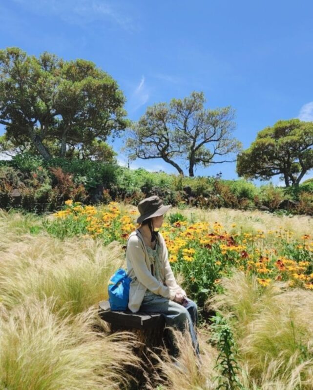 East Jeju Premium Limousine Bus Tour - Lunch near Seongsan Ilchulbong