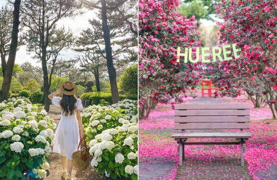 East Jeju Premium Limousine Bus Tour - Is the price worth it?