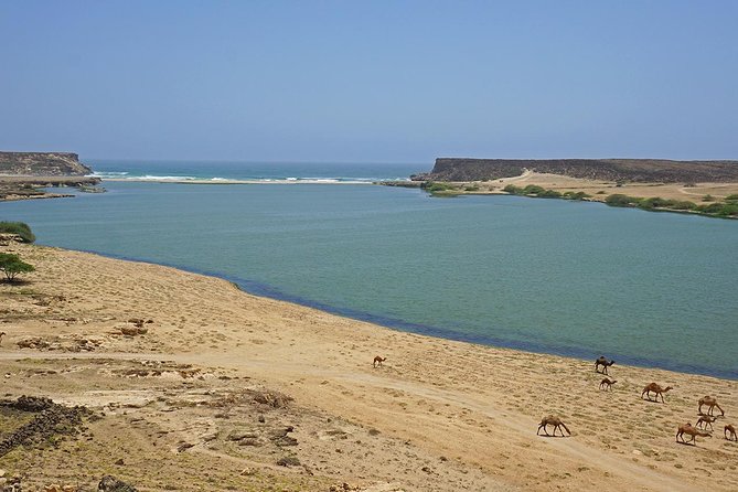 East Jewels With Wadi Darbat :Salalah Tours - Tour Highlights