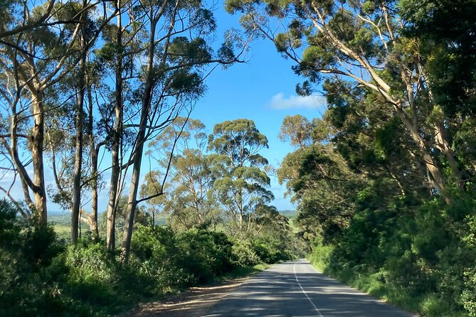East London Airport Private Shuttle to Chintsa - Meeting and Pickup Details