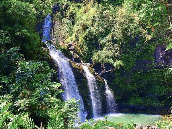 East Maui: Private Rainforest or Road to Hana Loop Tour - Common Questions