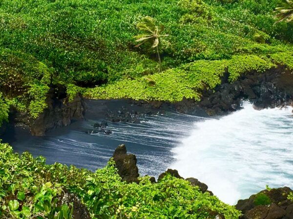 East Maui: Private Rainforest or Road to Hana Loop Tour - The Sum Up