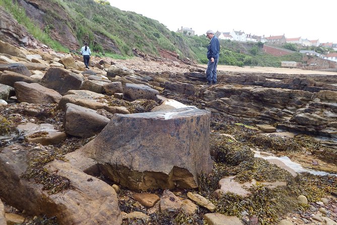 East Neuk Treasures Tour From Dundee - Pricing and Booking Details