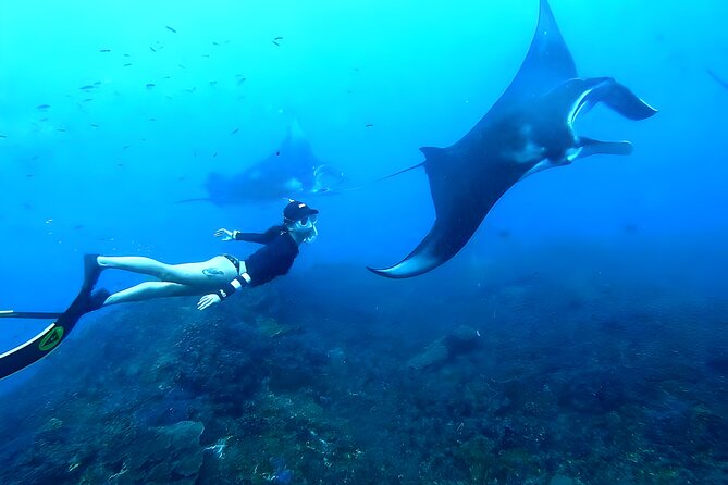 East Nusa Penida Island Snorkeling Tour - From Bali Island - Tour Highlights