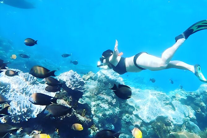 East Nusa Penida Island Snorkeling Tour - From Bali Island - Snorkeling Locations