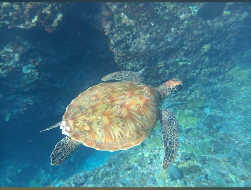 East Nusa Penida Tour & Traditional Cepuk Weaving Experience - Discovering the Highlights of East Nusa Penida