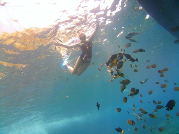 East of Bali Sight Seeing Tour - Questions You May Have