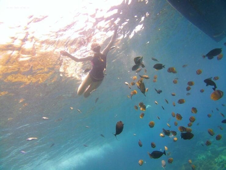 East of Bali Sight Seeing Tour - Tour Details