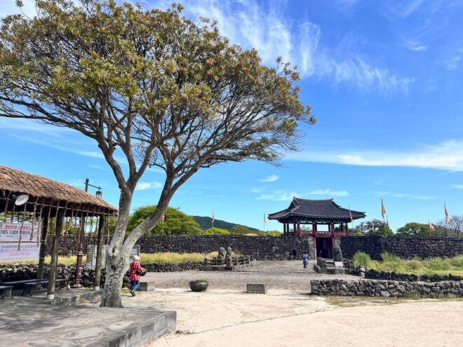 East of Jeju Island Bus Tour From Seogwipo City, Jeju Island - Inclusions and Vehicle Options