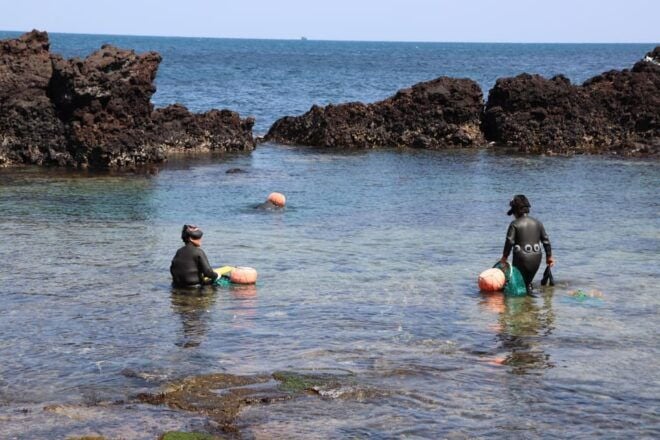 East of Jeju Island Bus Tour From Seogwipo City, Jeju Island - Important Information