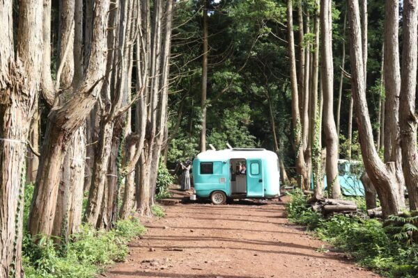 East of Jeju Island Bus Tour From Seogwipo City, Jeju Island - Additional Activities in Jeju Island