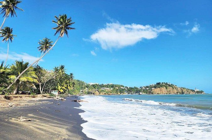 East Puerto Rico's Hidden Gems: Self-Guided Tour - Frequently Asked Questions