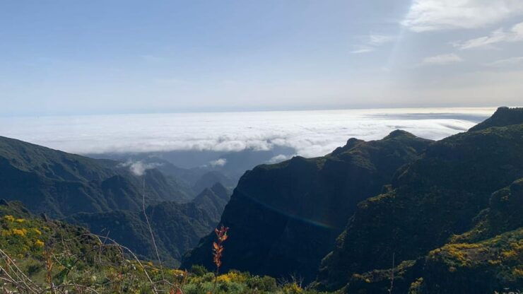East Side- Pico Arieiro, Santana Typical Houses & Rum - Itinerary Highlights