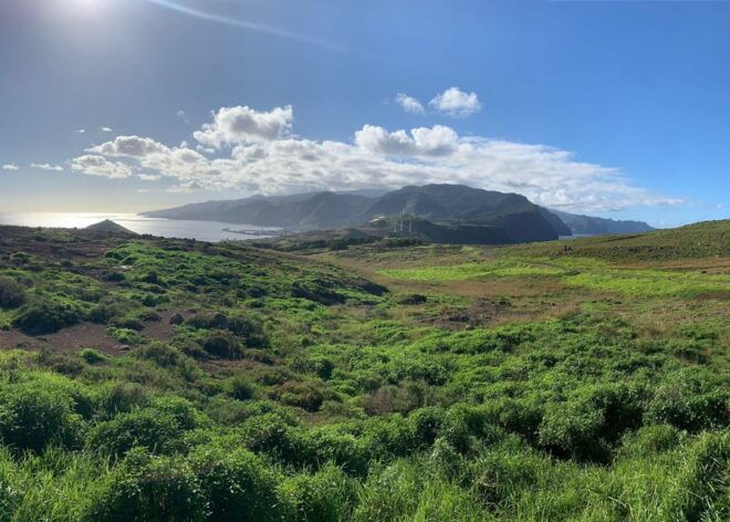 East Side- Pico Arieiro, Santana Typical Houses & Rum - Observe Madeiras Unique Flora