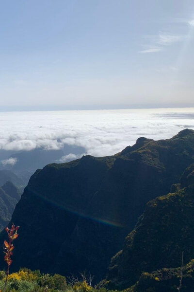 East Side- Pico Arieiro, Santana Typical Houses & Rum - Discover Laurissilva Forest