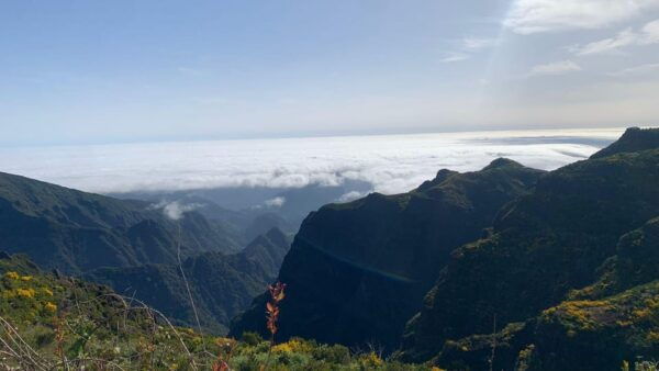 East Side- Pico Arieiro, Santana Typical Houses & Rum - Frequently Asked Questions