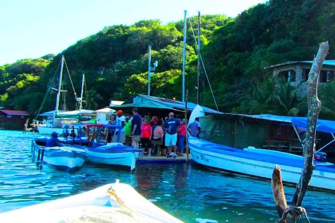 East Sightseeing, Mangrove Tunnel Snorkel, Hole in the Wall, With Transfer - Tour Overview