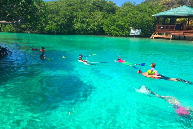 East Sightseeing, Mangrove Tunnel Snorkel, Hole in the Wall, With Transfer - Logistics