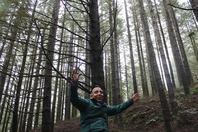 East Tour - 4x4 - Small Group - Cancellation Policy