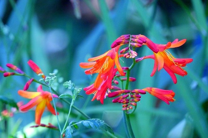 East Tour - 4x4 - Small Group - Reviews