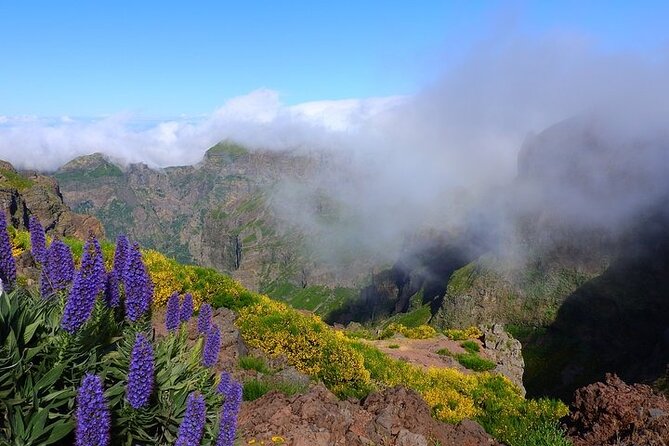 East Tour - 4x4 - Small Group - Miscellaneous