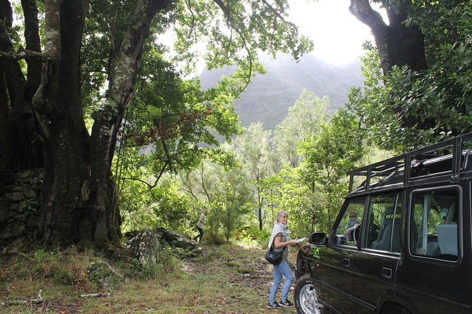 East Tour - 4x4 - Small Group - Directions