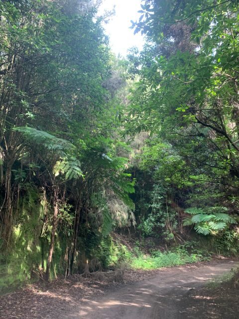 East Tour: Open Roof jeep tour to East Madeira - Santana - Frequently Asked Questions