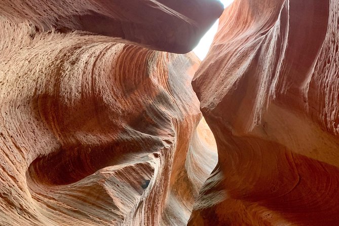 East Zion 4 Hour Slot Canyon Canyoneering UTV Tour - Viator Help Center