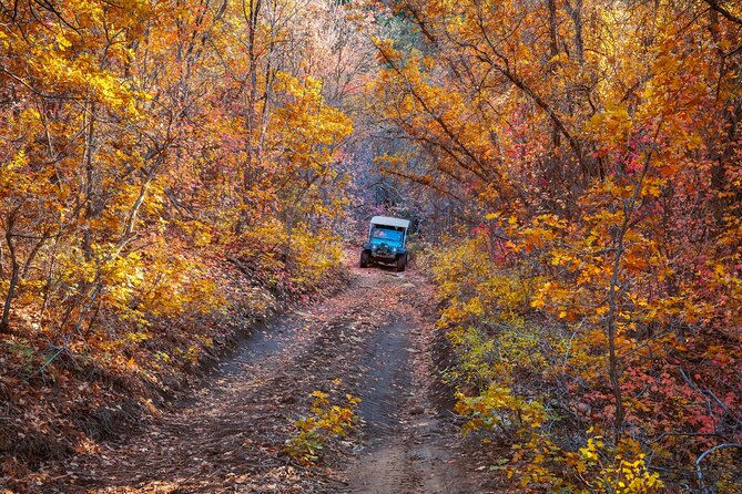 East Zion Brushy Cove Jeep Tour - Additional Information