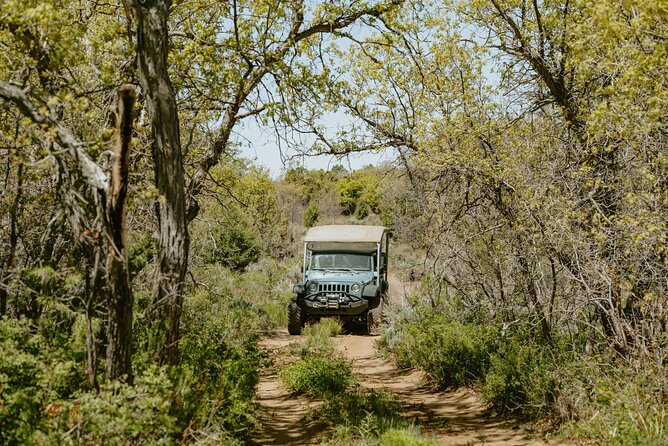 East Zion Brushy Cove Jeep Tour - Cancellation Policy