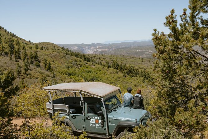East Zion Brushy Cove Jeep Tour - Reviews