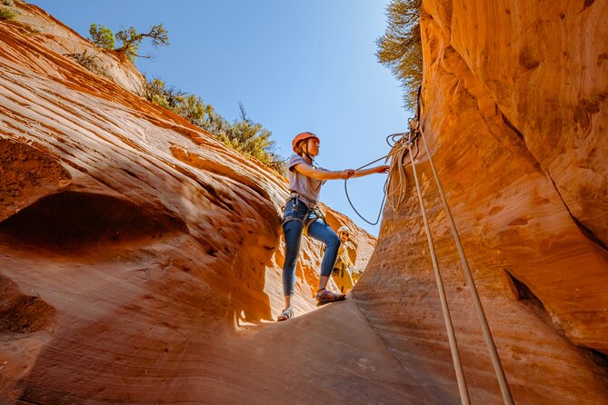 East Zion: Coral Sands Half-day Canyoneering Tour - Viator Terms & Conditions