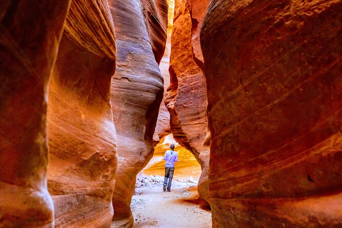 East Zion Crimson Canyon Hike & UTV Adventure - The Sum Up