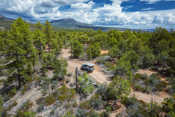 East Zion East Rim Jeep Tour - Tour Details