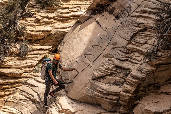 East Zion Elk Heart Cliffs Via Ferrata and Rappelling (3Hr) - Overview and Highlights