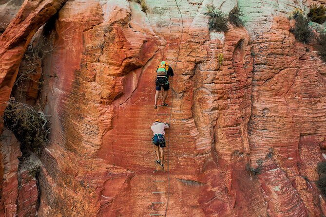 East Zion Elk Heart Cliffs Via Ferrata and Rappelling (3Hr) - Experience and Activities