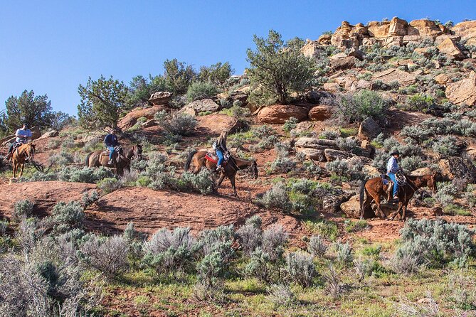 East Zion Horseback Riding Experience  - Zion National Park - Inclusions and Meeting/Pickup