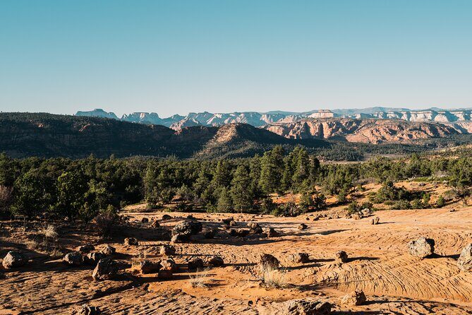 East Zion Outback UTV Tour with Licensed Guide - Good To Know