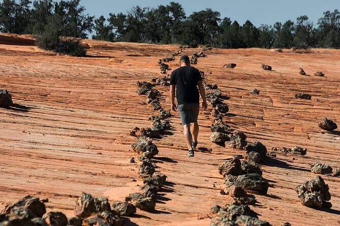 East Zion Outback UTV Tour with Licensed Guide - An In-Depth Look at the East Zion Outback UTV Tour